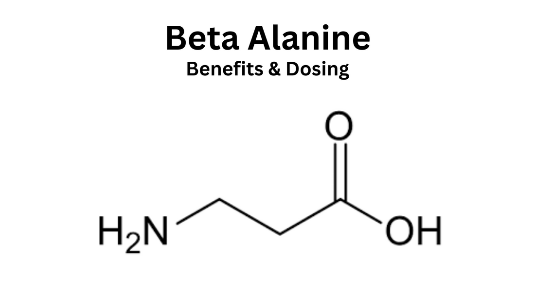 Exploring the Benefits of Beta-Alanine for Bodybuilding